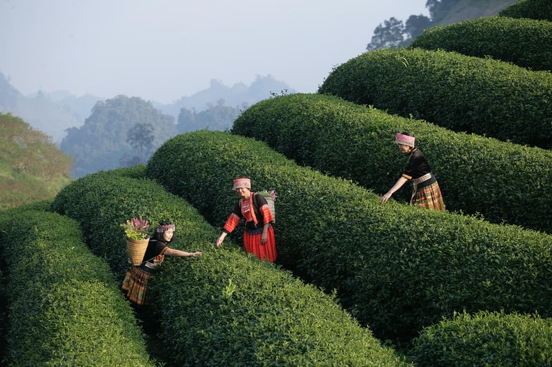 Eclectic Dining Experiences